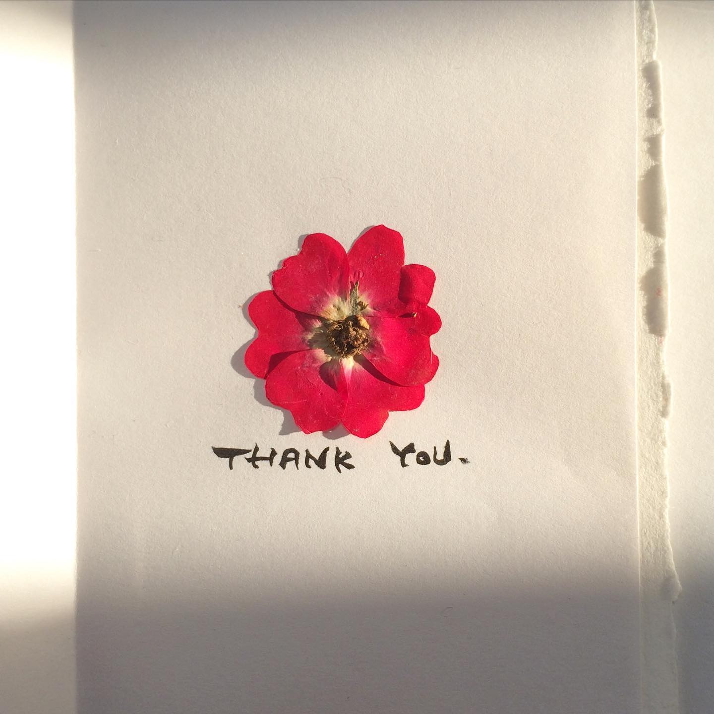  Just One Second Thank You is A Short Word That Lasts Only About A 